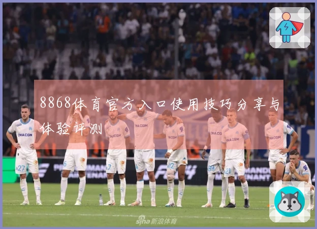 8868体育官方入口使用技巧分享与体验评测
